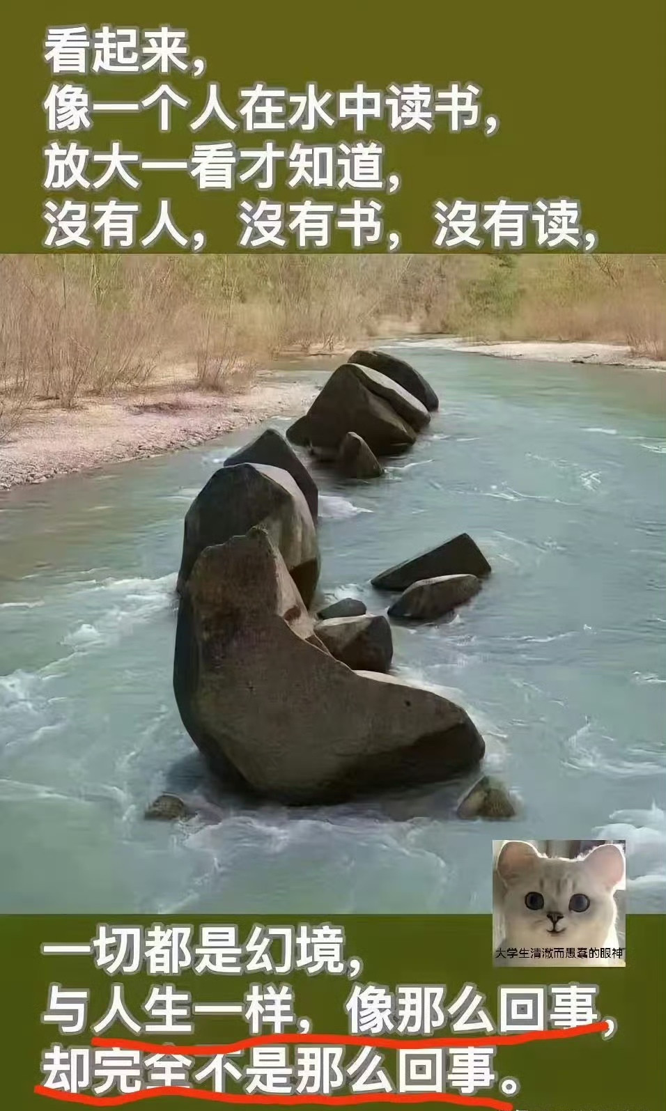 此图如果被起个名字，大家会起什么呢？