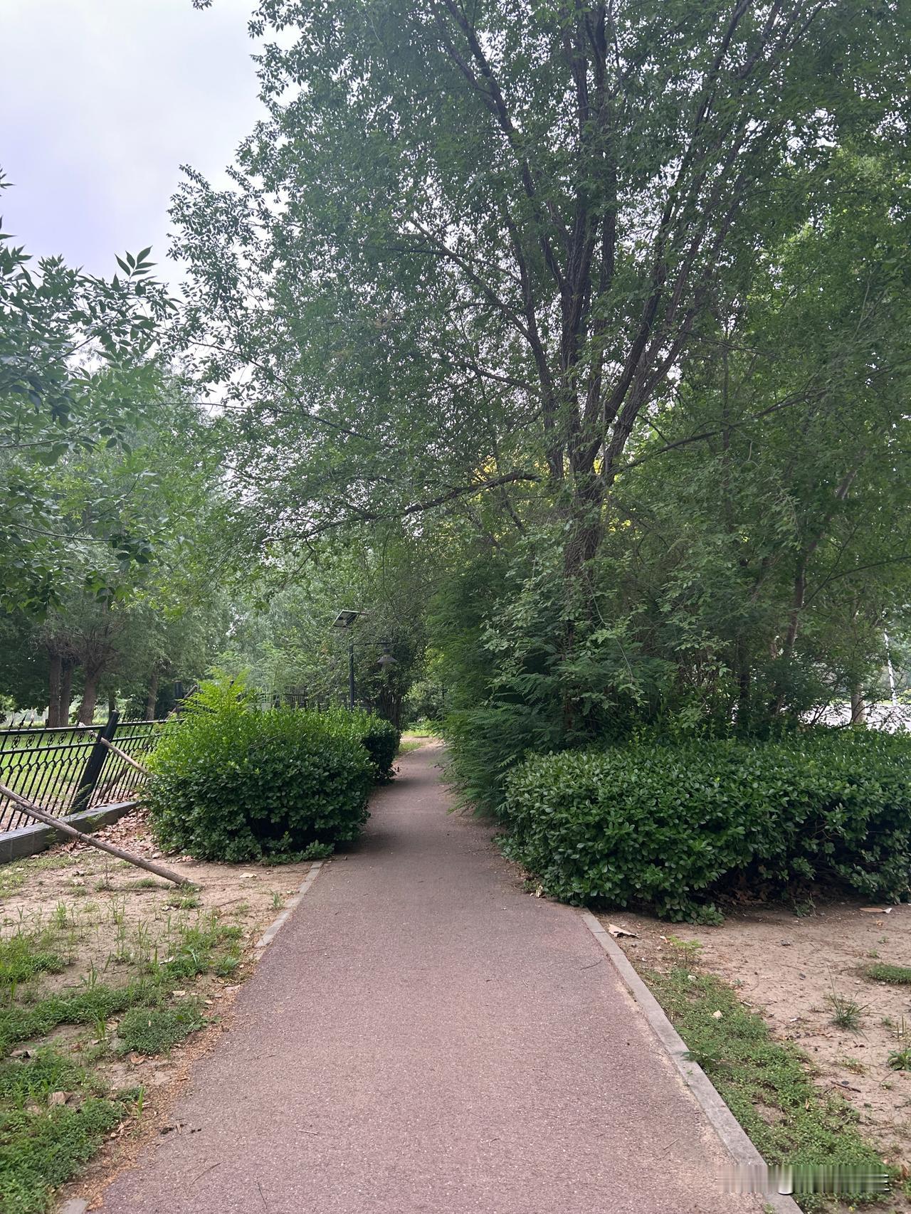 我昨天和小牛馨馨妈妈聊起社保的事才知道，很多人没交社保或者交的灵活社保。我和小