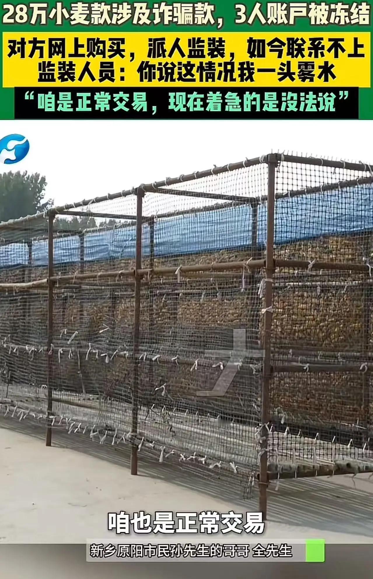 “这样下去还怎么做生意?”新乡原阳,母子俩卖粮食被骗,3车小麦100多吨,28万