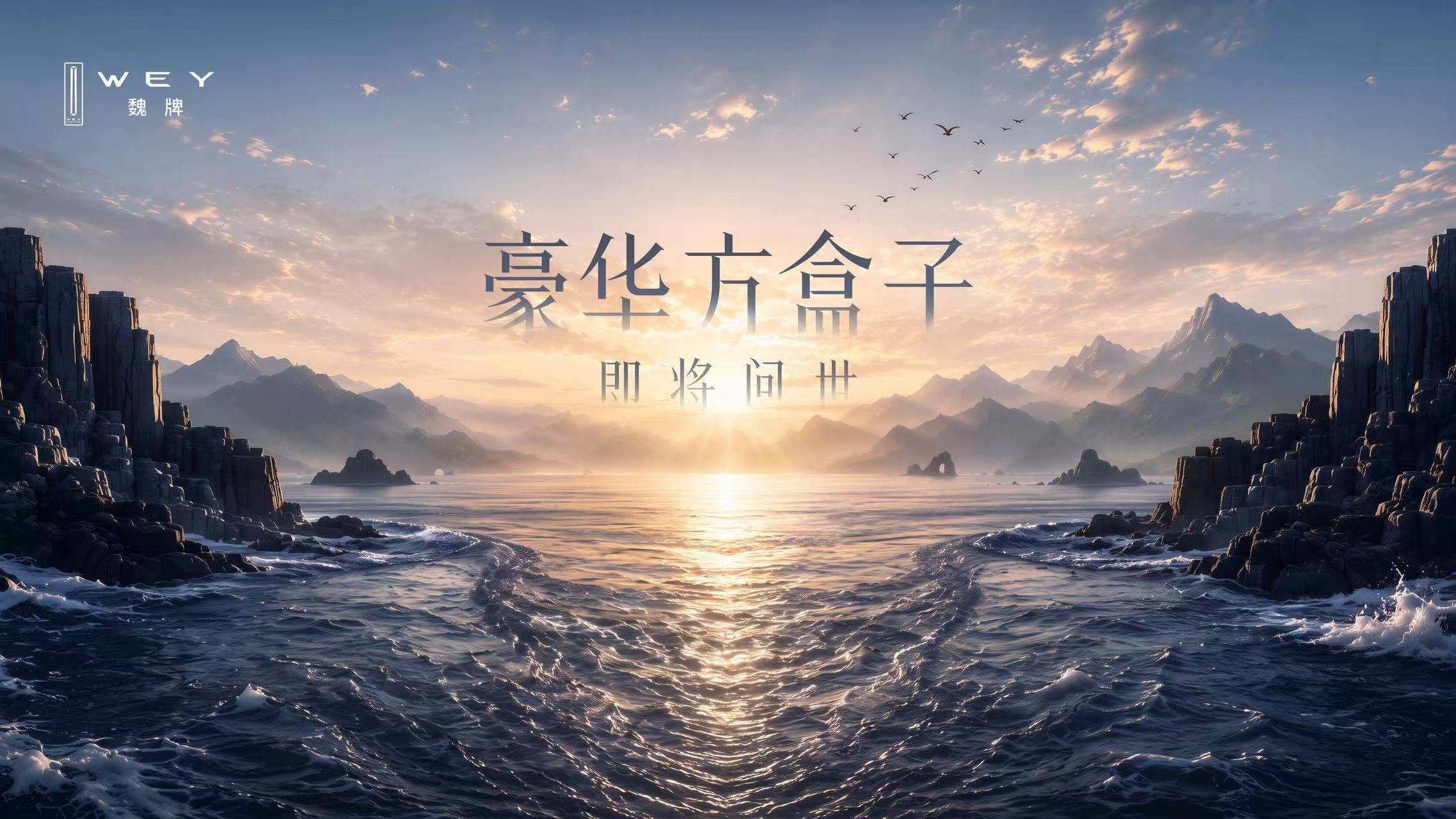 魏牌要做新的豪华方盒子?!​​​
