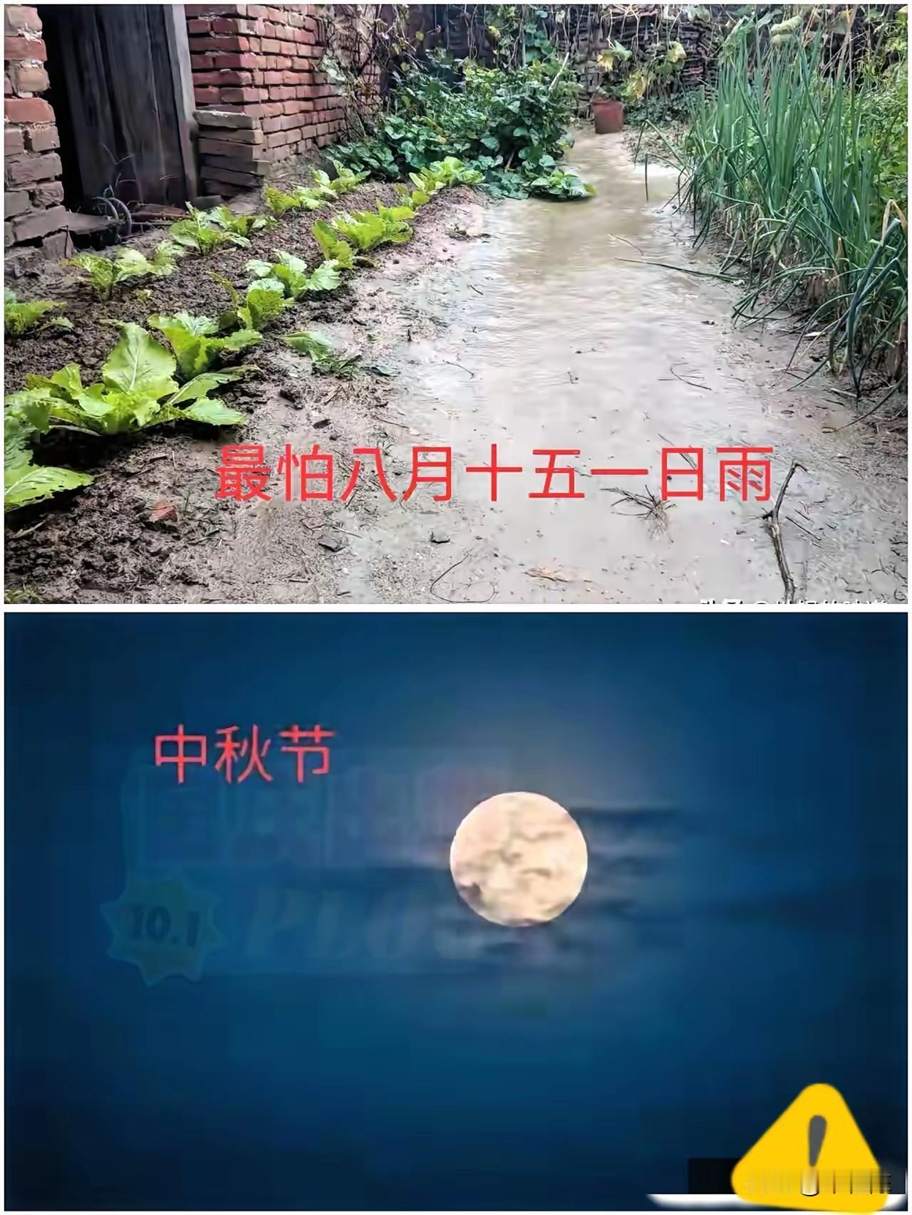 今天八月十五，老人说最怕“八月十五一日雨”，十五下雨啥预兆今天就是八月十五中