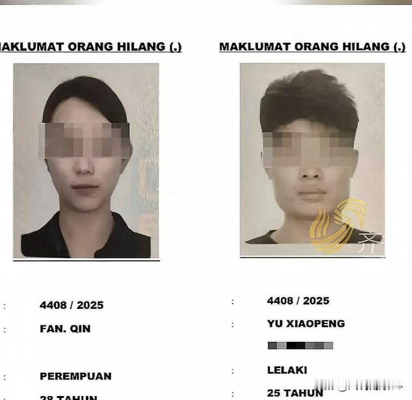 两名中国游客在马来西亚失联，谜团待解，生死未知这两名失联的中国游客，分别是来自