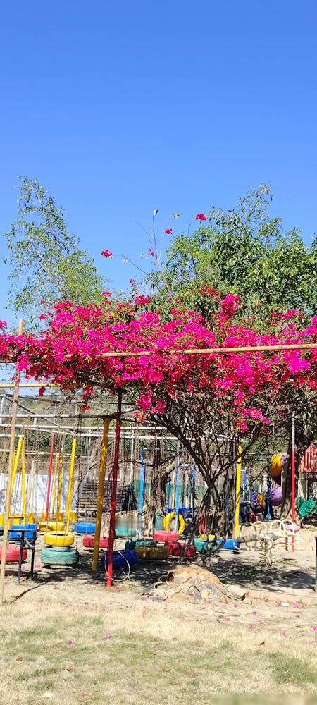 不管儿媳喊不喊你妈妈，请看看这五点：​1、既然跟儿子成为一家​1、既然跟