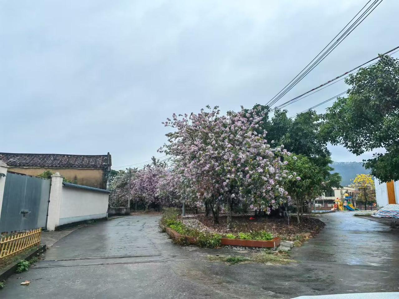 心智这东西，就像个神秘的宝藏盒。小时候，觉得有个新玩具就是最大的快乐，心智简单又