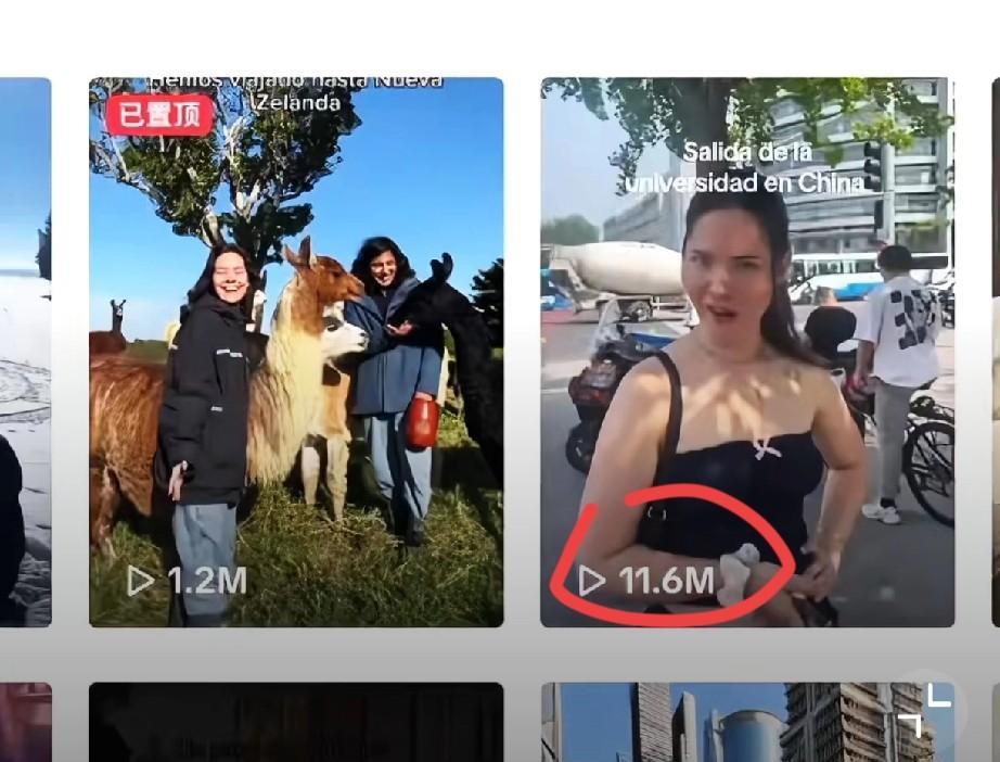 现在洋抖上最火的中国视频，就是拍外卖放在户外的内容，一个西班牙博主拍拍了一个10