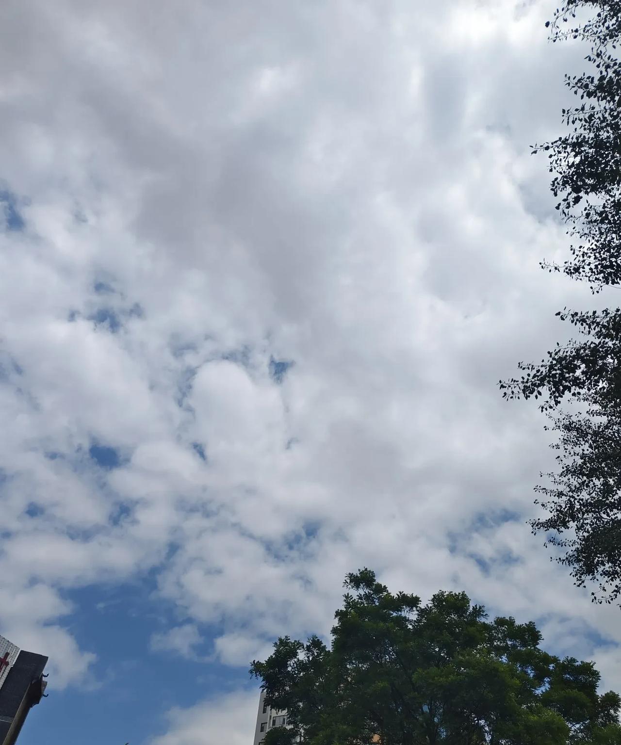 端午佳节，俺磊磊和郝大民聊个天，都能擦出火星。磊磊猴子似的蹭到大民姐姐跟前，姐