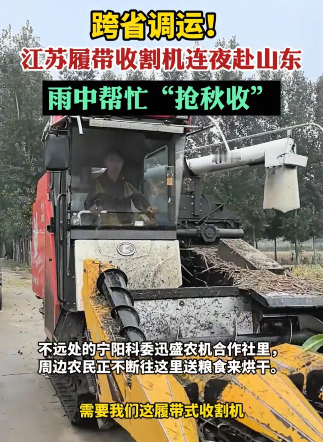 这事儿真挺暖的。山东泰安那边连续下了二十多天的雨，地里全是烂泥，普通收割机根本下