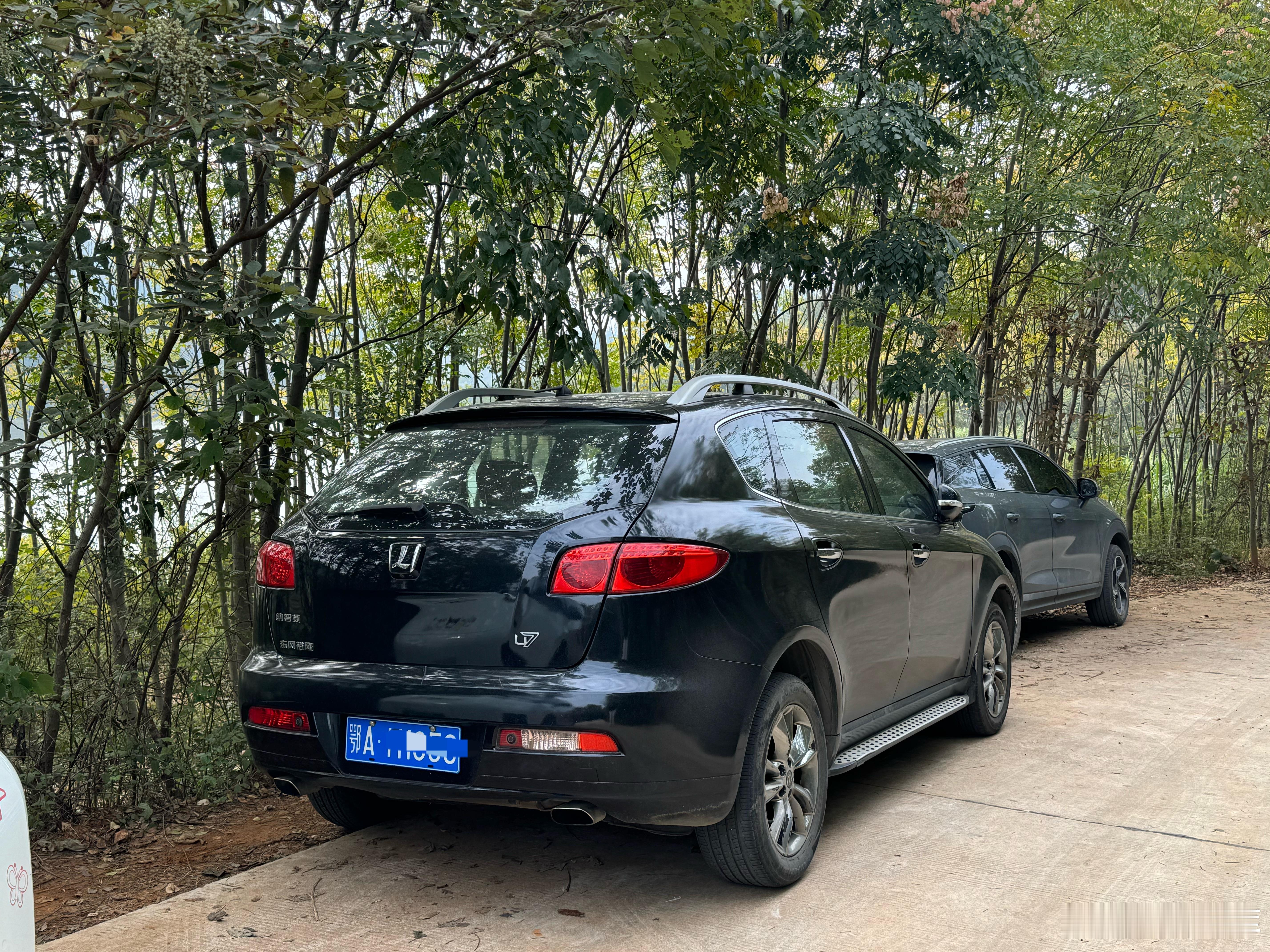 昨天钓鱼挣钱了我旁边的钓友是开餐馆他一共只钓了两条从青山开一个半小时来水库竟然开