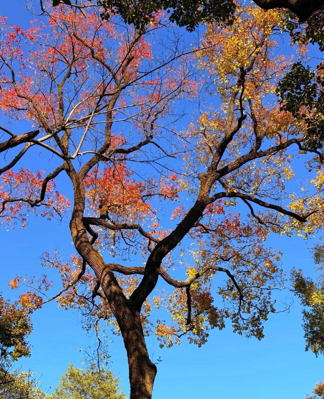 理发小哥的恍然大悟：美国那套，原来都是骗人的理发小哥手里的推子嗡嗡作响，剪刀