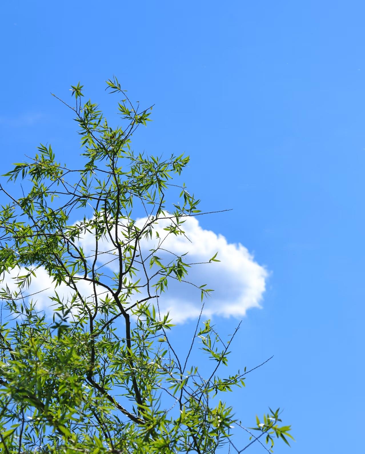 尼采说：如果我们知道自己为了什么而活我们将能忍受任何种的生活因为一切不