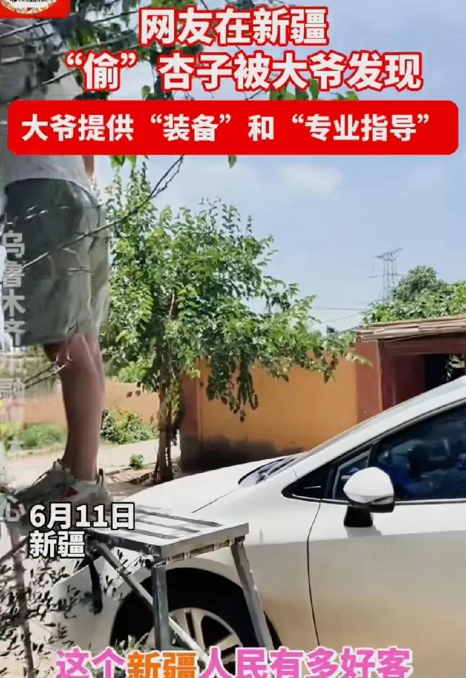 “这不妥妥的新疆文旅宣传片吗？”男子和朋友到新疆旅游，经过一农户家门口时，看见了