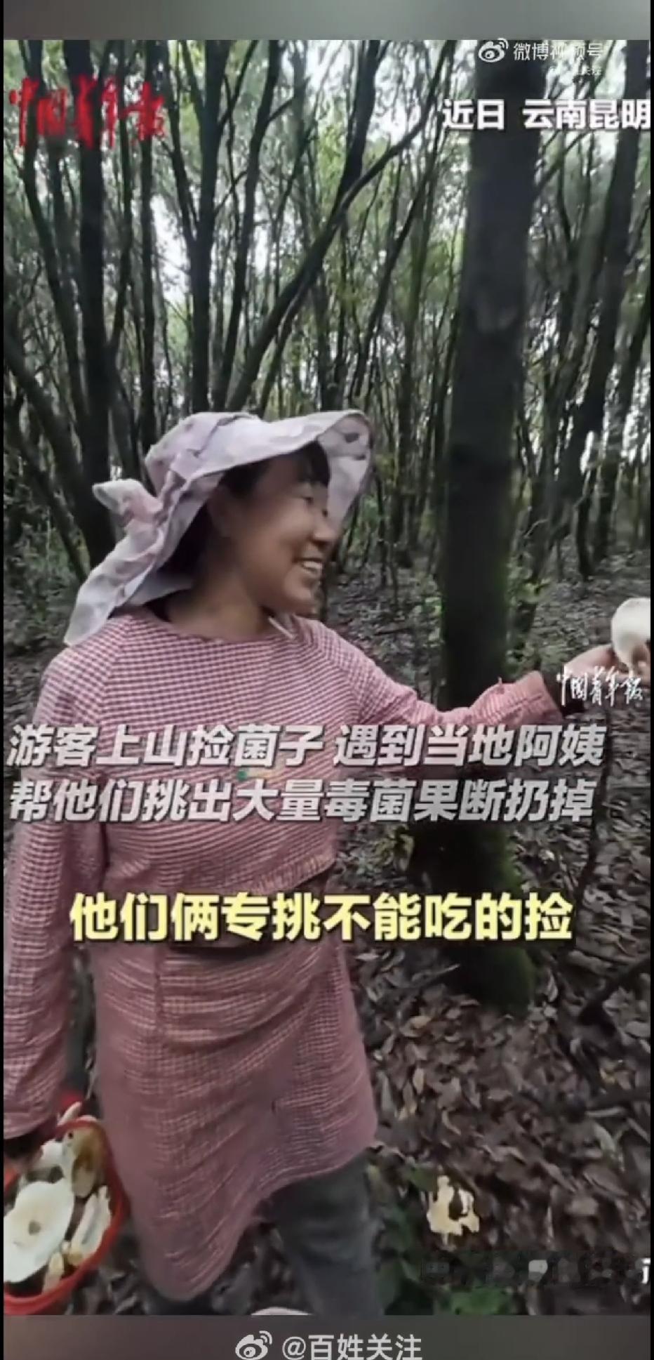 云南昆明，一名男子兴冲冲上山捡菌子，忙活了大半天，收获满满一筐，可他自己认不出哪
