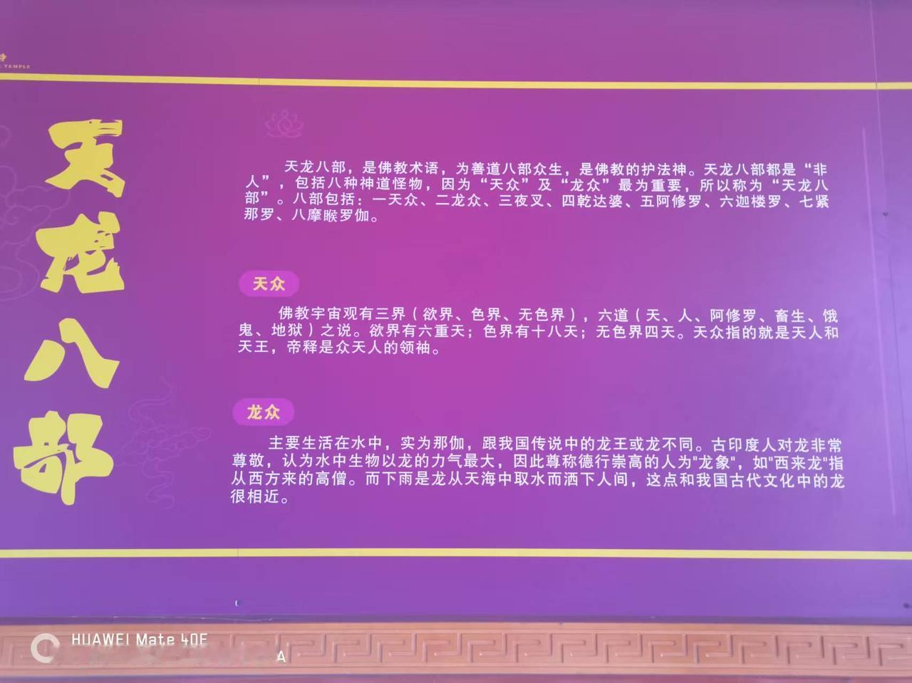 什幺是天龙八部？天龙八部，是佛教术语，为善道八部众生，是佛教的护法神。天龙八部