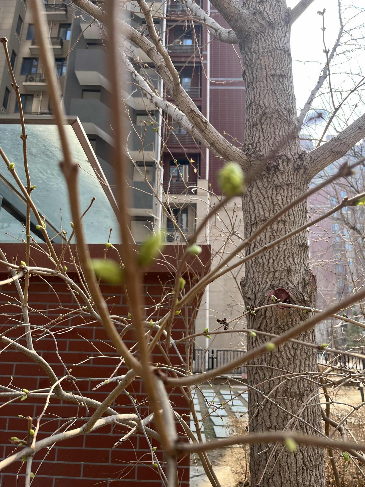眼下到底该不该出手买房？答案很简单，只要问自己“三个问题”就OK！有的人对于