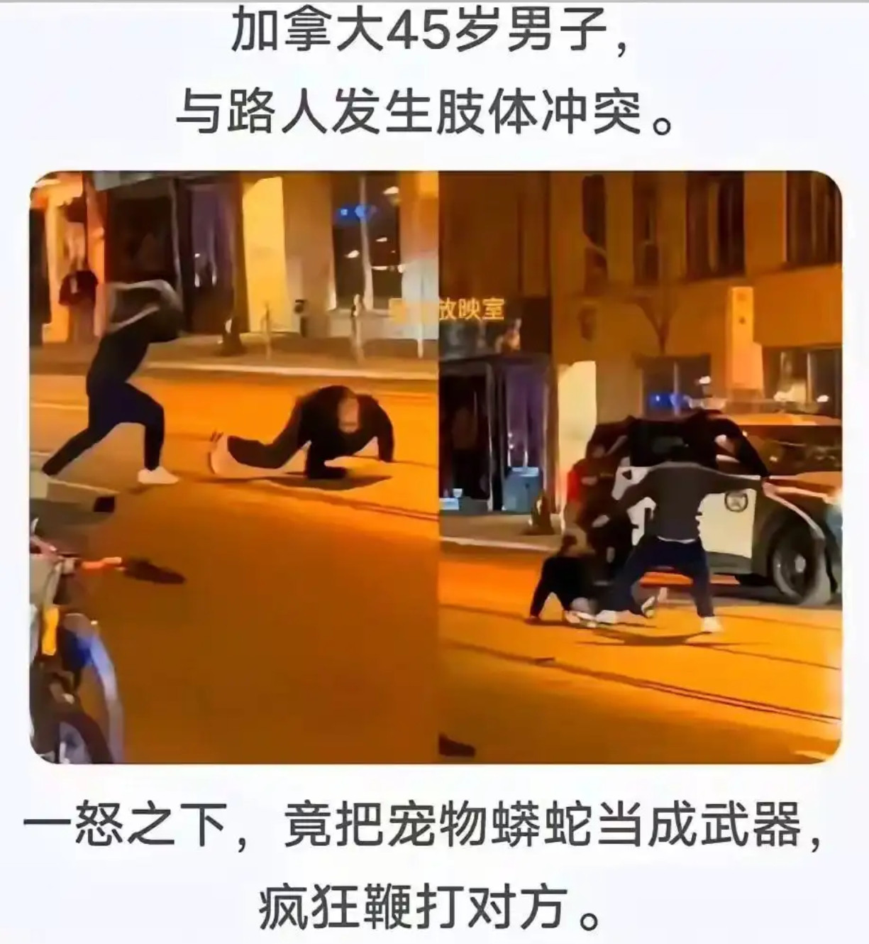 蛇跟对面的都懵了​​​