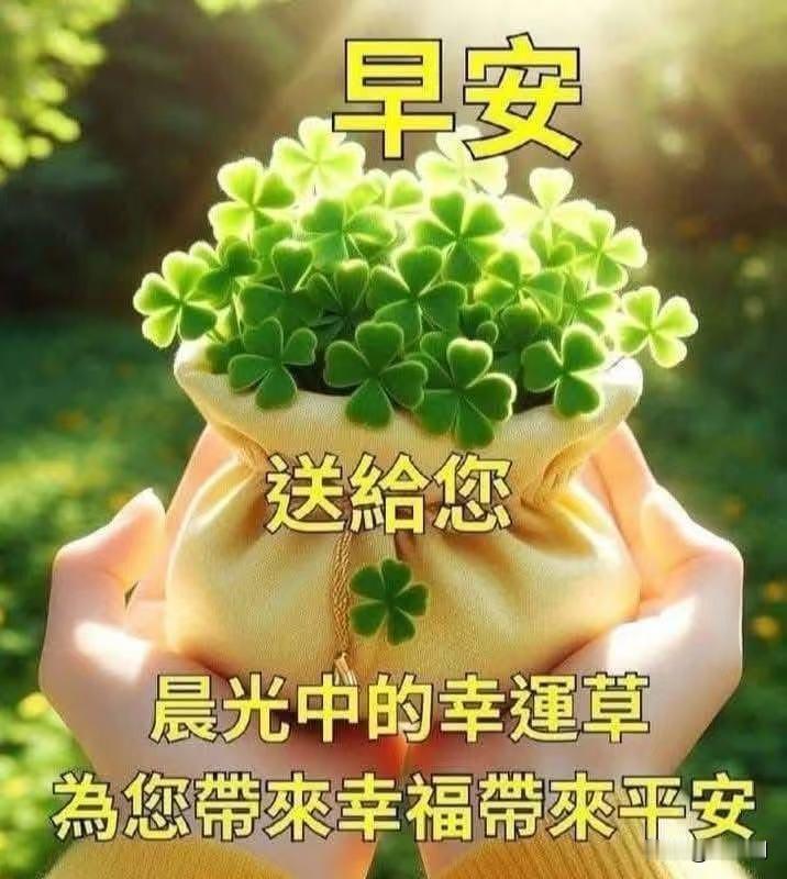 [比心]早安心语[比心]檐角星沉晓雾轻，窗棂渐透旭光明。阶前草缀珠露重，枝上
