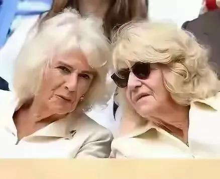 子女的平庸，彻底让卡米拉绝望了！卡米拉的子女汤姆与劳拉，曾被寄予厚望。汤姆作为