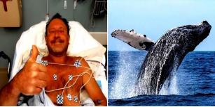 2021年，美国潜水员在海底捕捉龙虾，却被15米长的坐头鲸整个吞下，就在这危急时