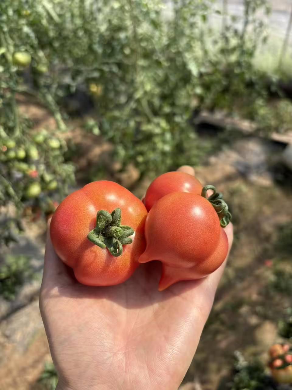 一个人更要活的通透，活的自由自在！