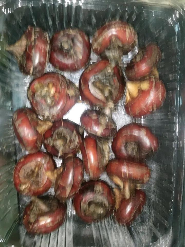 这个长在水田里的水果或者蔬菜，普通话叫“马蹄”或者“荸荠”，我老家称作“马启子”