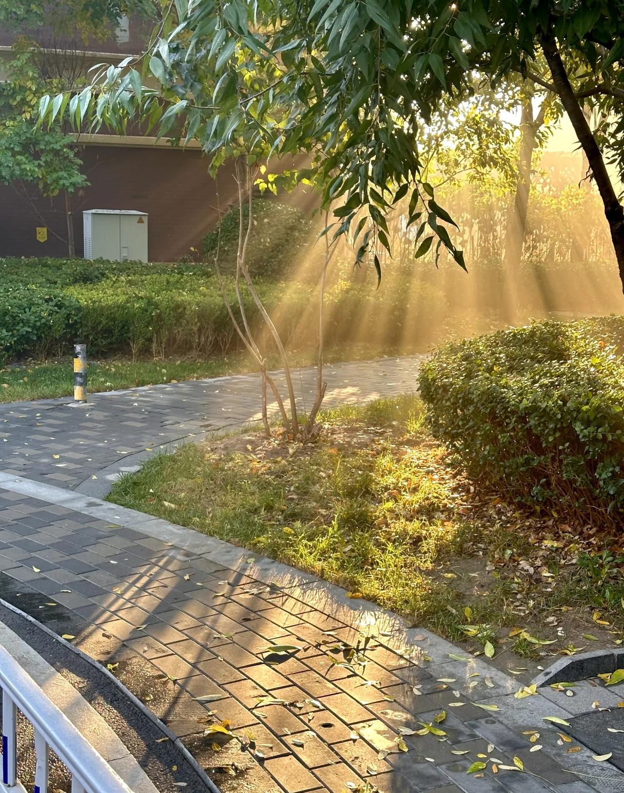 五十多岁的大伯顶着一头黄毛到我家。看着气质同精神小伙和年纪一点不搭的大伯。我