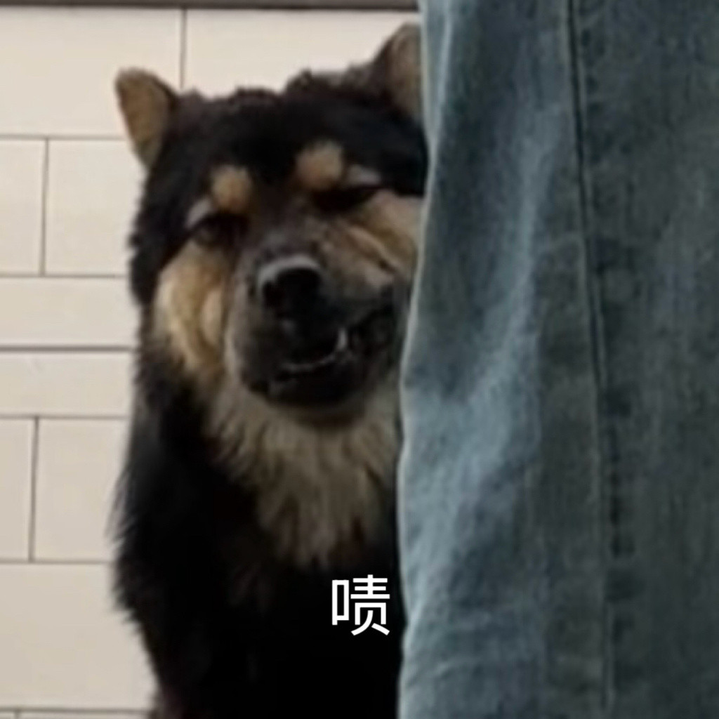 人，你可以看狗的表情包