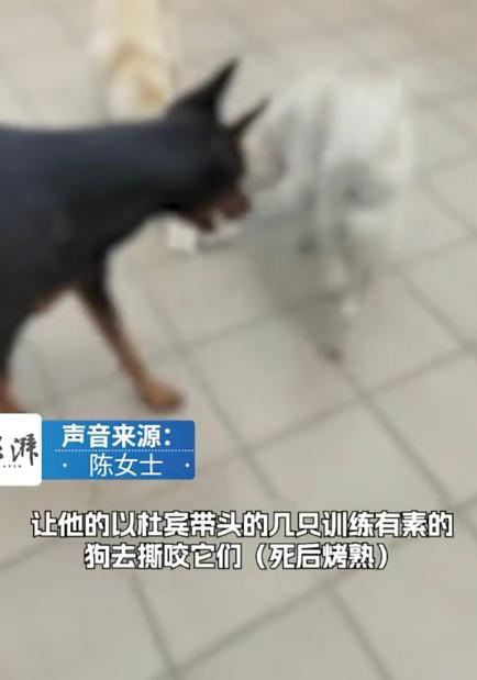 “太缺德了”5月15日环球网报道，广东东莞，女子将养了多年的狗送养，哪想到没几天