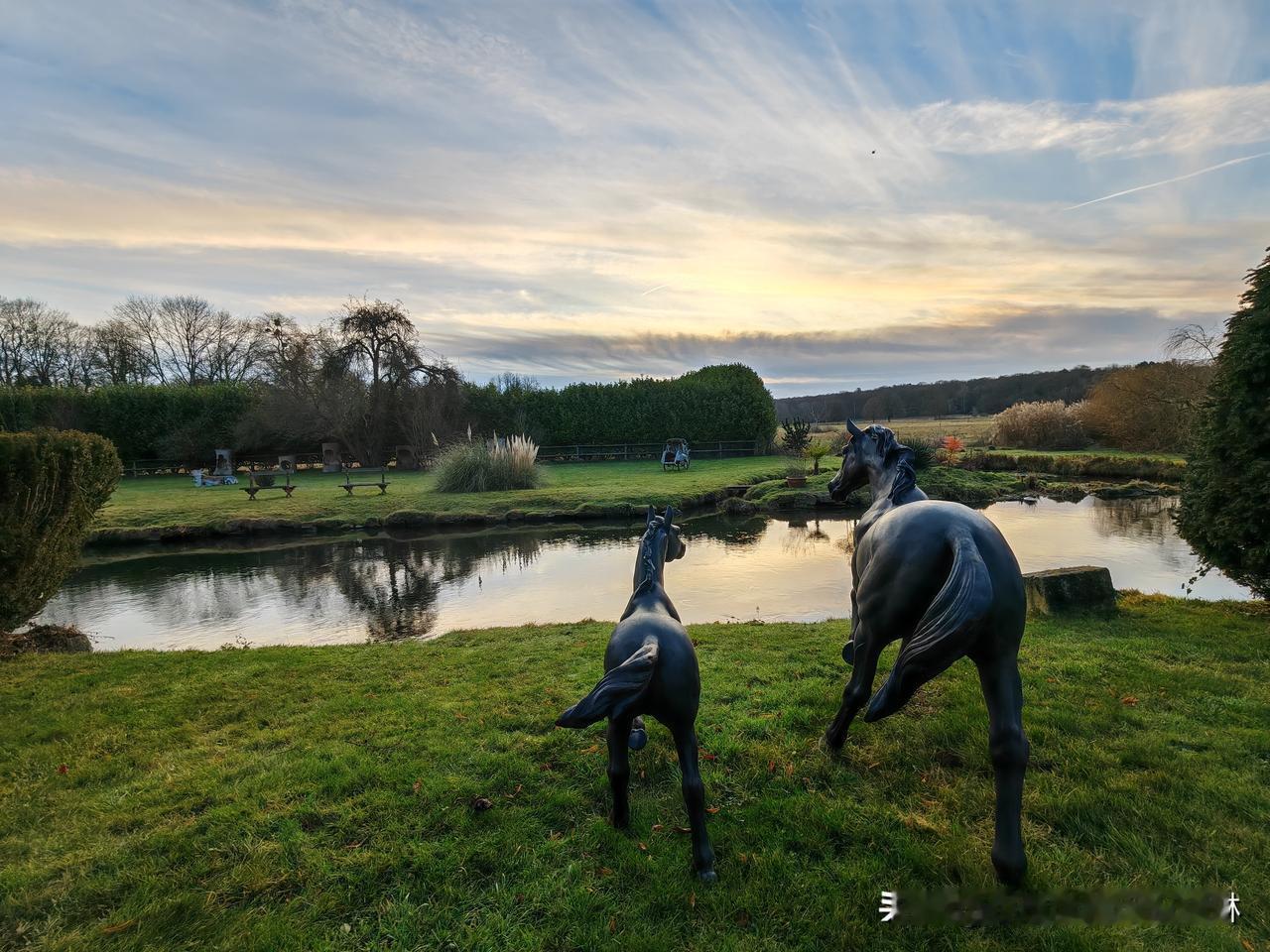 【心灵感悟】向自然寻一颗素心❤大自然从不是远在天边的风景，而是我们心灵修复