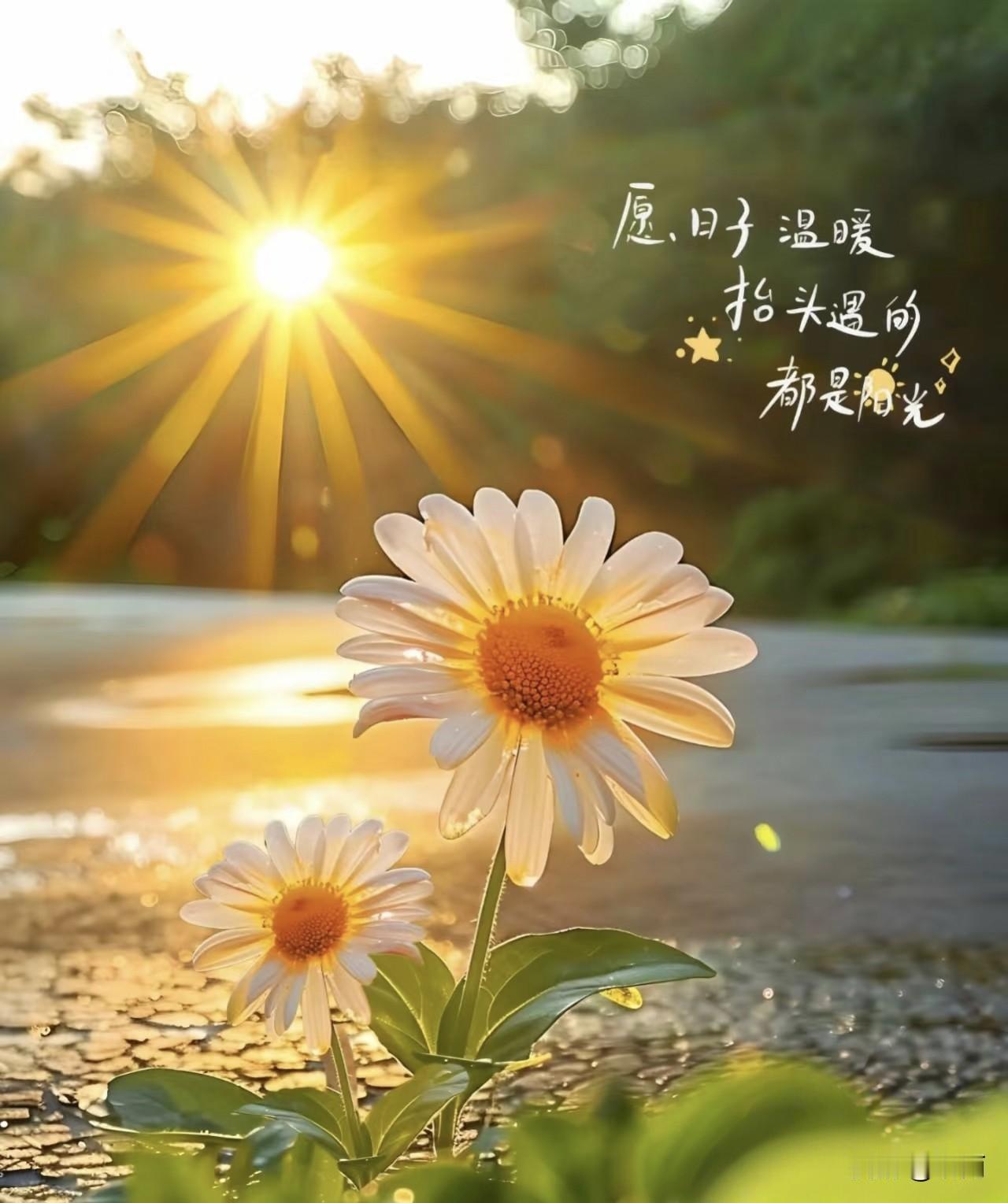 老公突然对着我大喊“你怎么能这样对妈！能不能公平点”的时候，我直接蒙圈到原地石化
