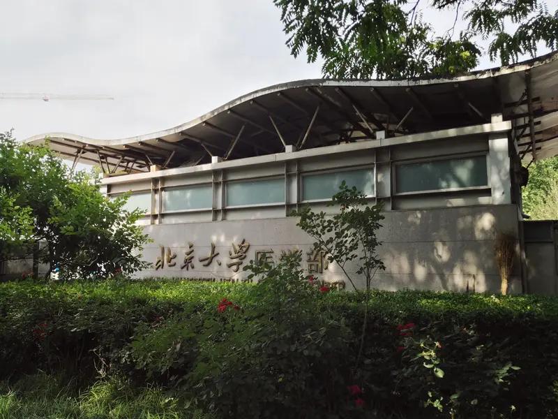武汉寒门少年吴雨桐太牛了，高考684分被北大医学部录取。他8岁时父亲患癌去世，母