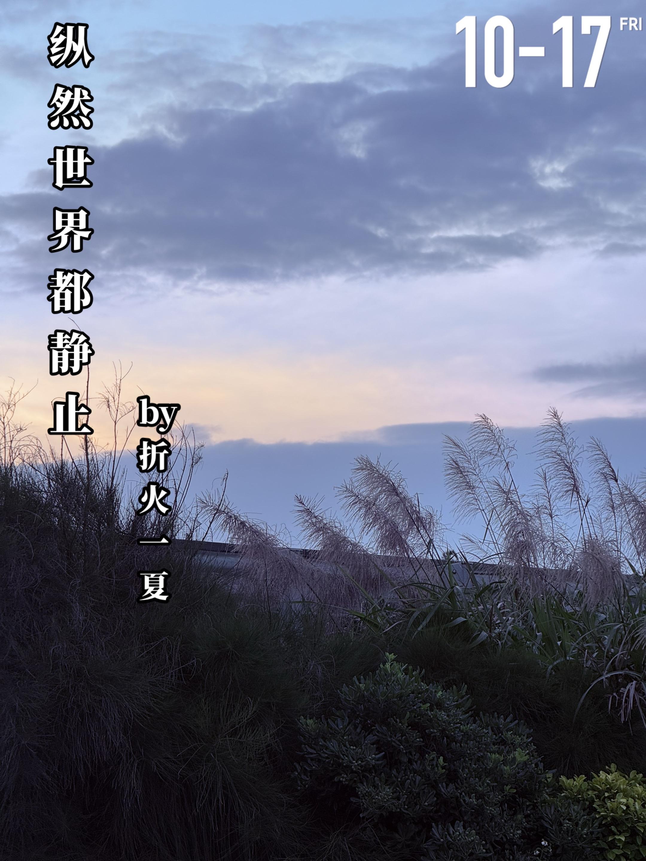 《纵然世界都静止》折火一夏。二十三岁那年是霍希音（女主）人生中最黑暗的...