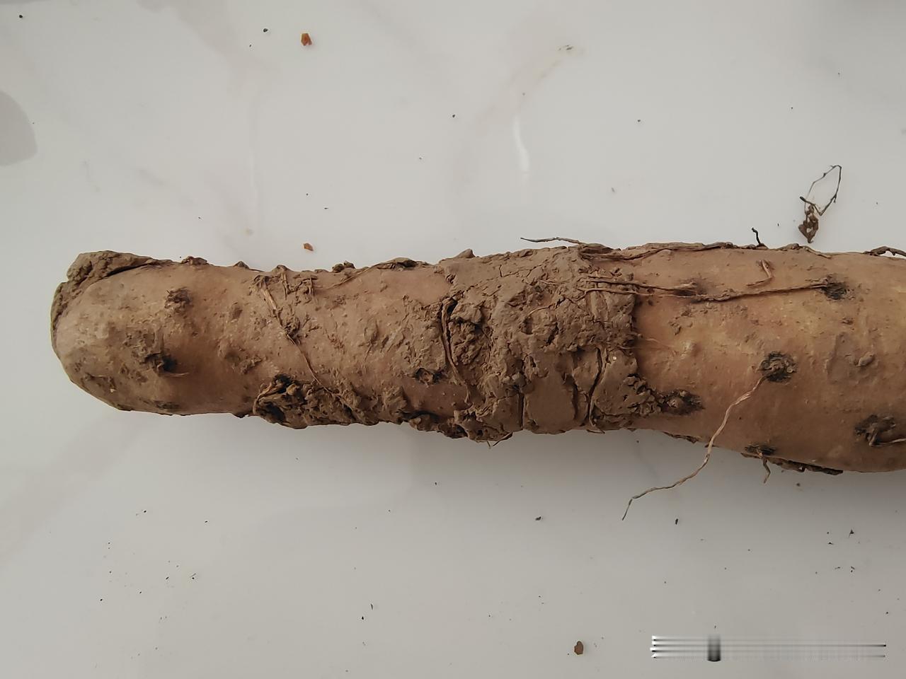 说实话，我很少从与辉同行上买东西，因为它的价格有点贵。我之所以这次从与辉同行