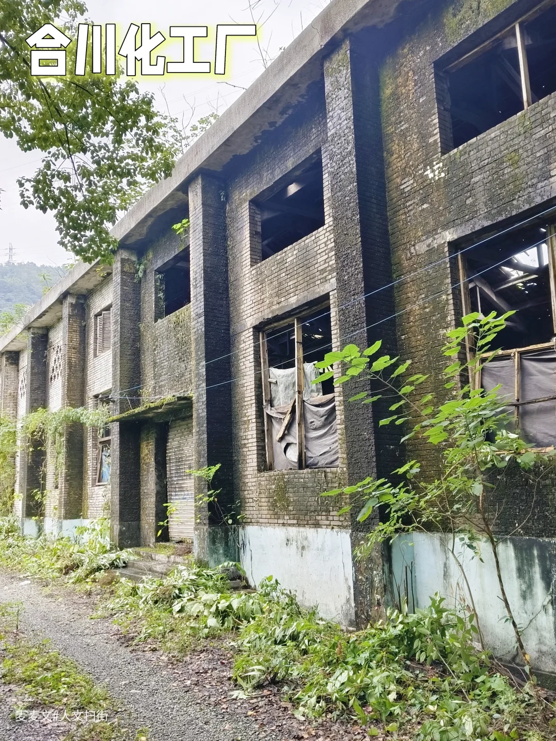 【合川】小众工业遗址探秘~废弃锶化厂