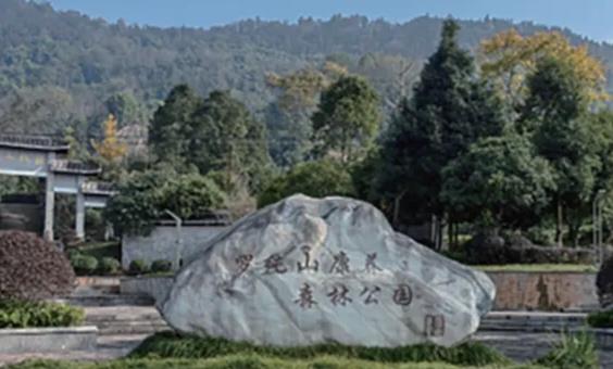 游芦山罗纯山记蜀中芦山，山水清幽，佳境遍布。城东十里，罗纯山巍然矗立，亦名