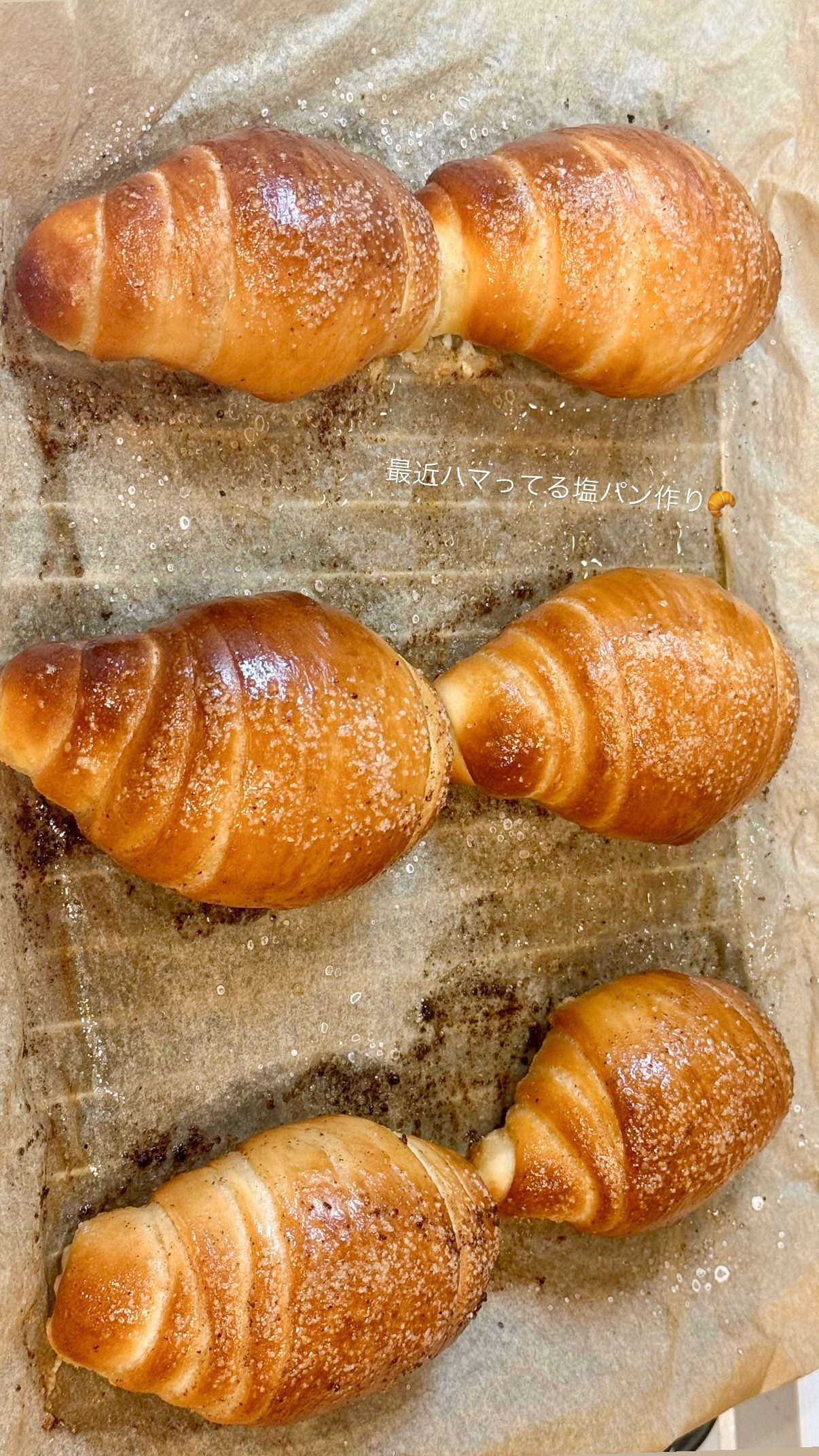 金川紗耶　sayagram