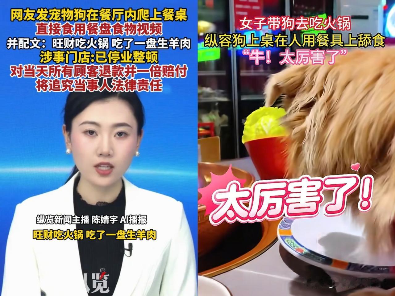 宠物狗在餐厅直接用餐盘吃肉一事，涉事门店的处理只是在亡羊补牢。而涉事女子也没