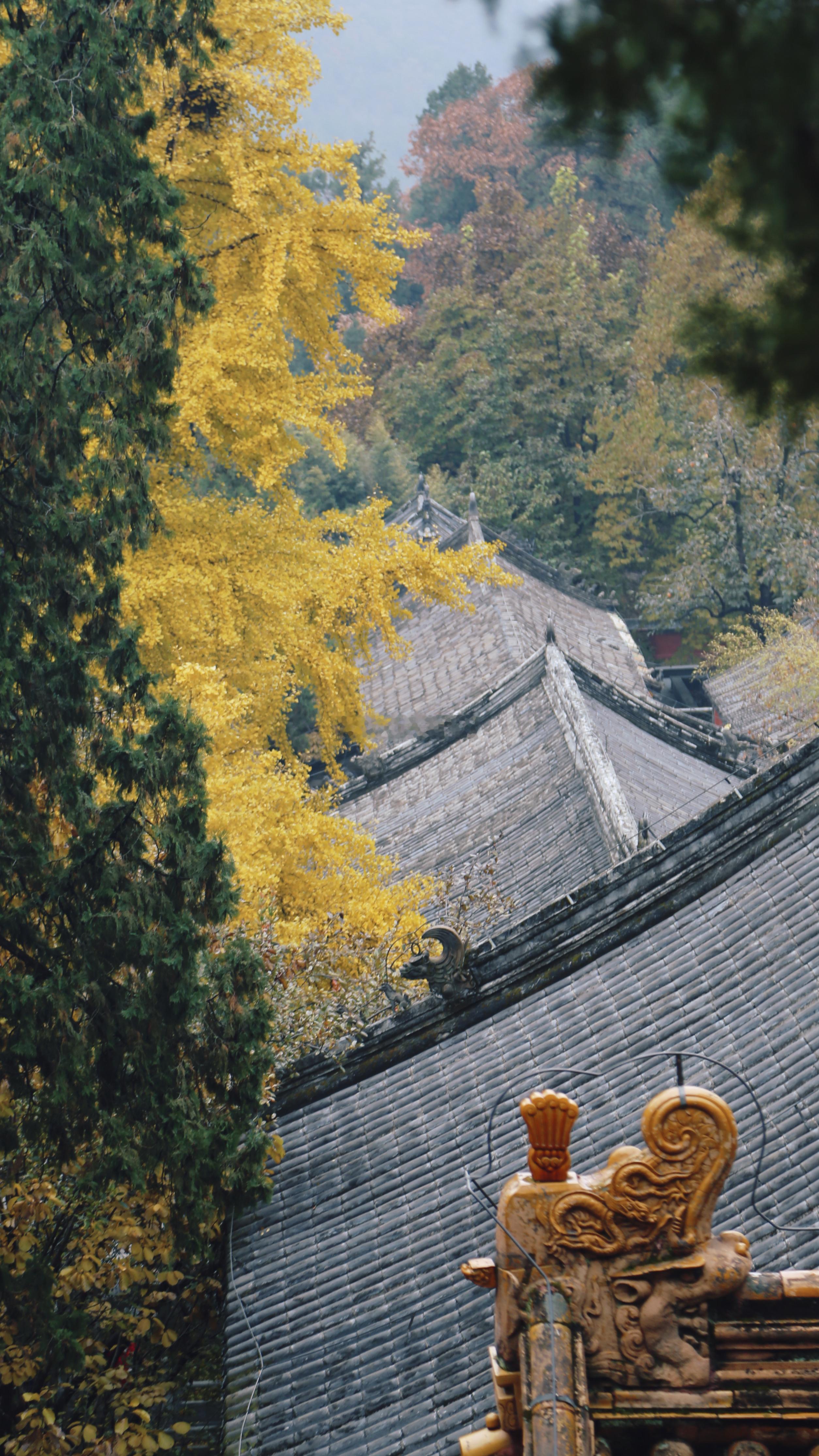 京西·潭柘寺公园摄影