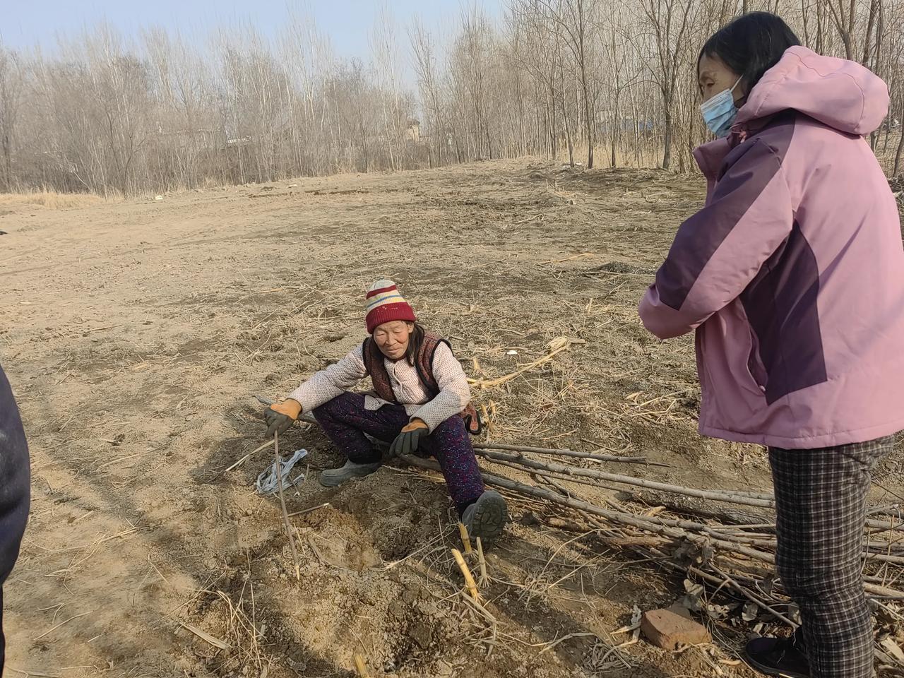 今天接着聊我们邻村老太太的故事。老太太儿子上大学的时候，搞了一个对象，是学院副