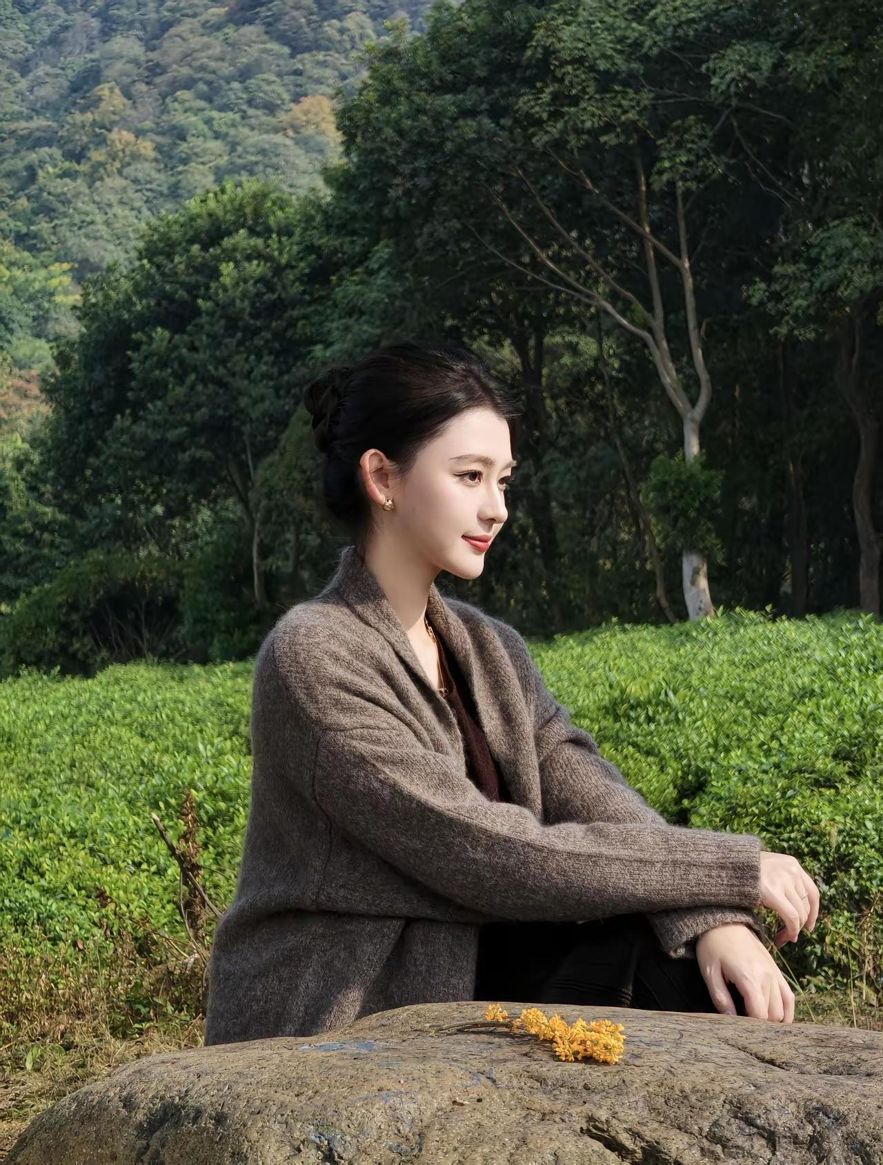 秋日森林中的沉思，静谧与自然的完美融合。