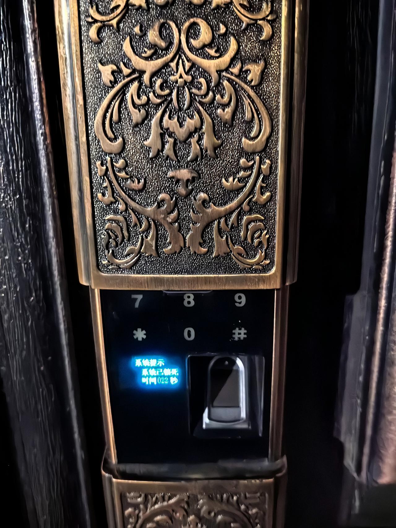 气得我连夜就想回我自己老窝去。媳妇待产，我请假了。来儿子家里第一天，这个智能