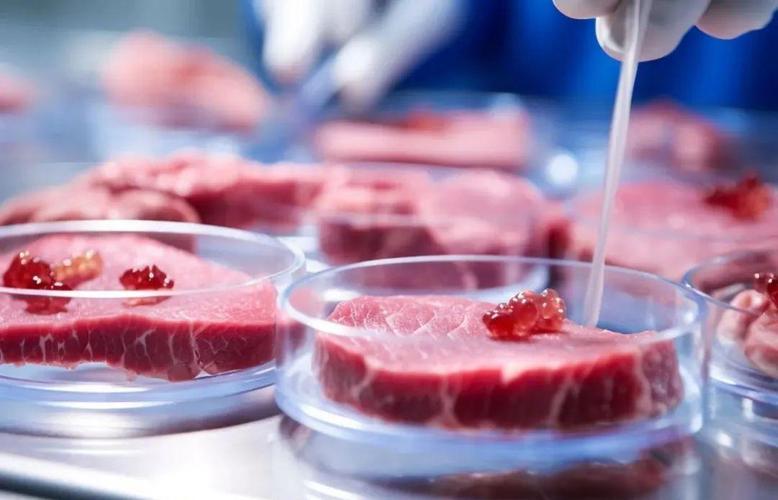 3周就能长出猪肉，细胞培养肉不是玄学概念，现在替代蛋白已经成为全球食品行业的热门