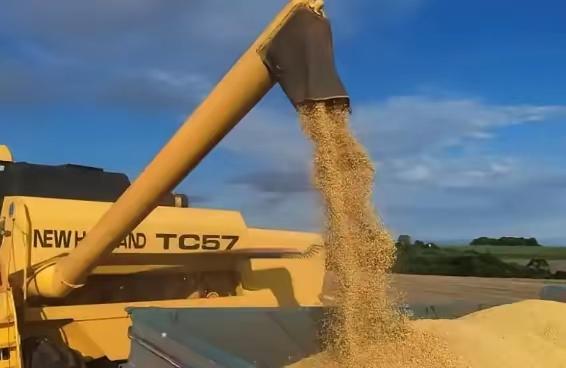 万一阿根廷，美国，巴西三国大豆全部涨价，中国怎么办？世界上只有利益没有朋友，