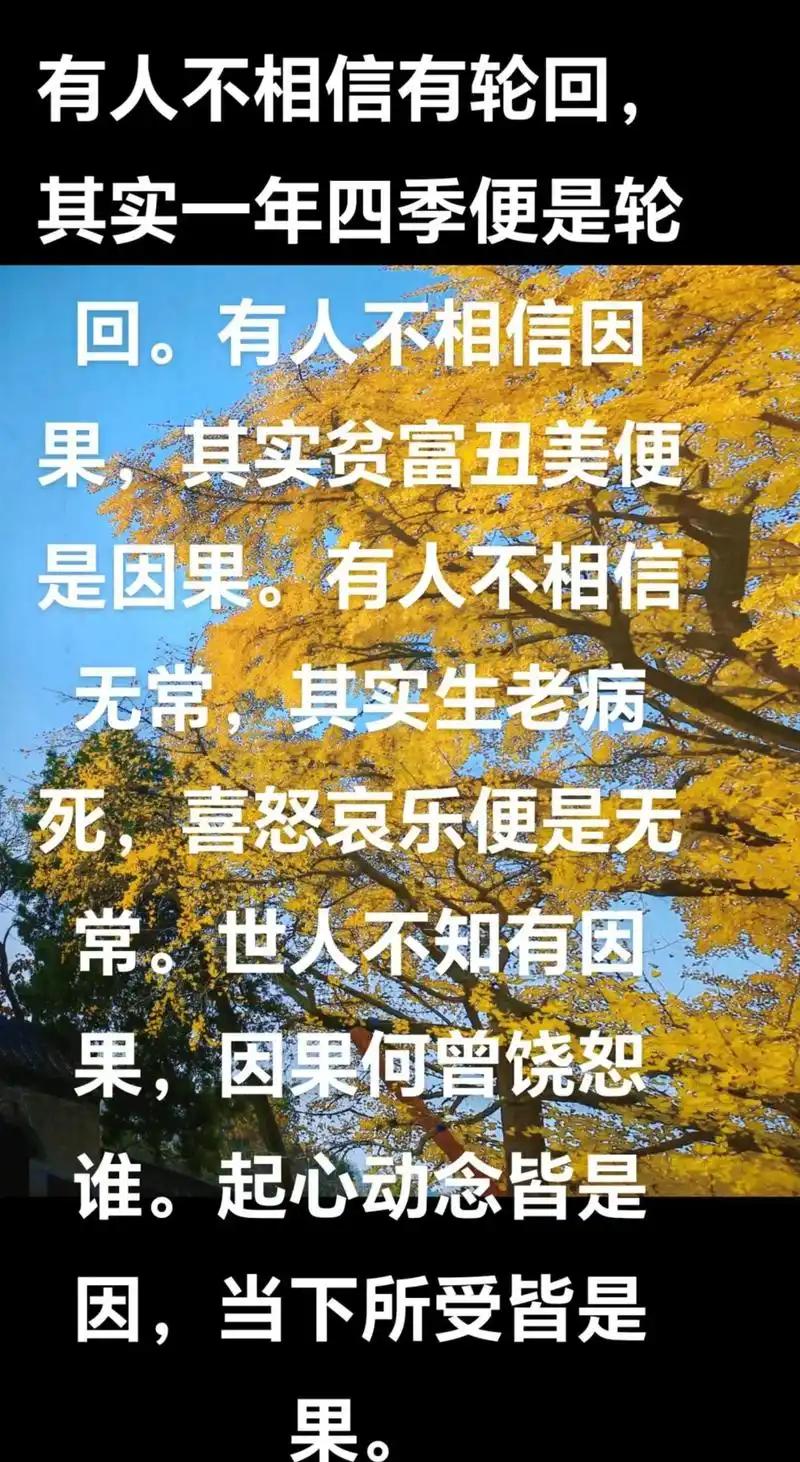 小区里的一件真事，让人看清因果轮回。有个男人因性格不合离婚，儿子跟着前妻，他很快