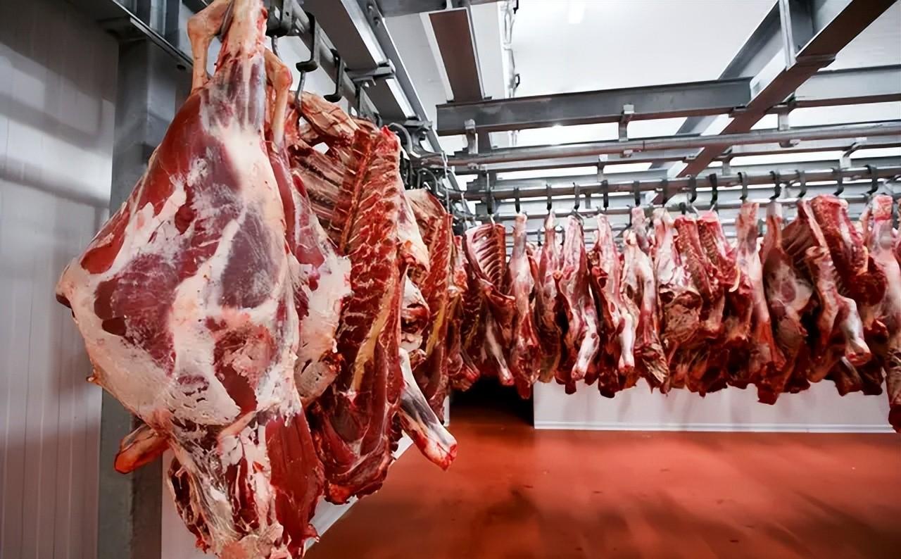 美加征25%关税，中国进口170万吨牛肉，卢拉：不卖美国卖别处！牛肉突然能卖到