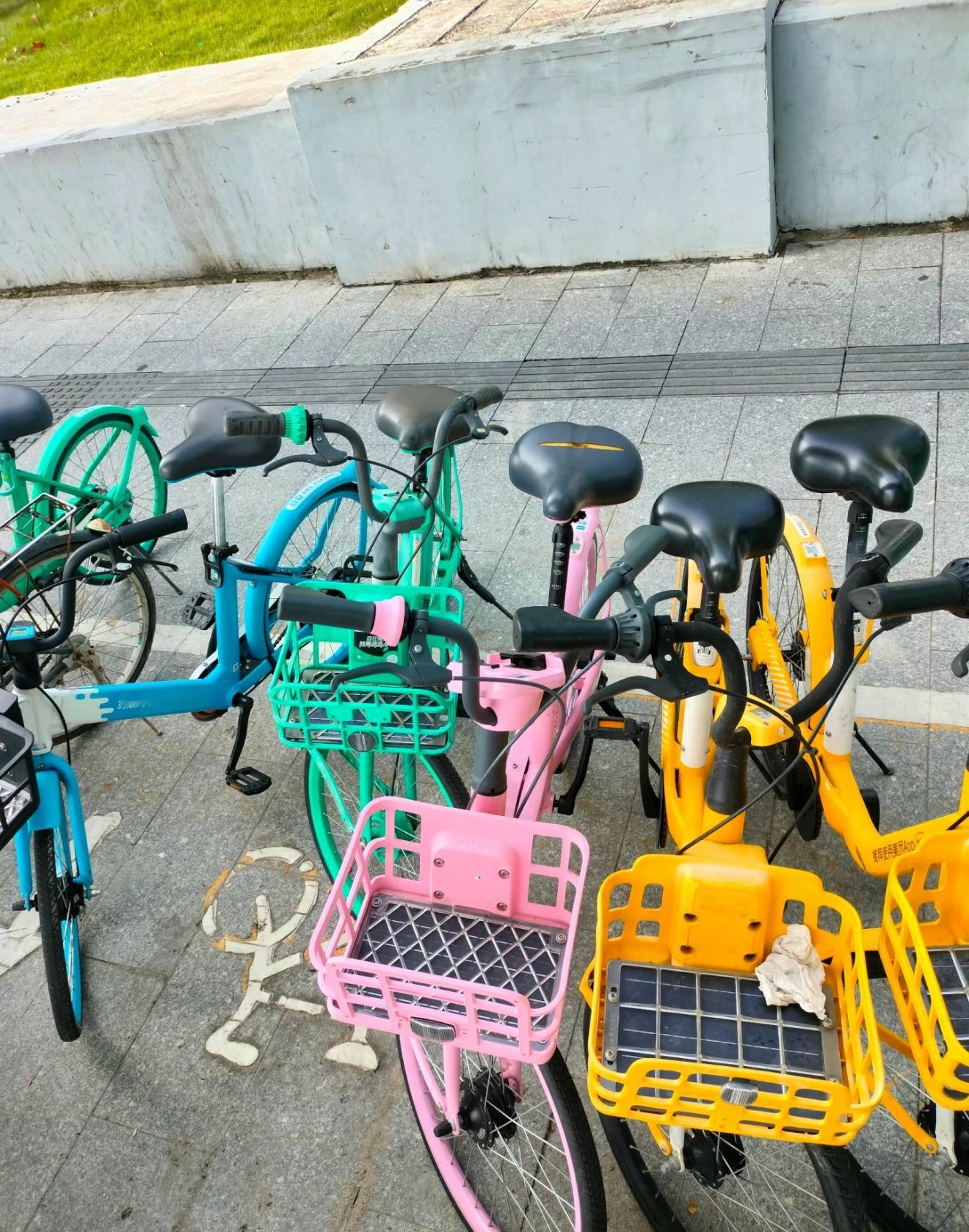 无论啥车只要是粉色的就会被针对​​​