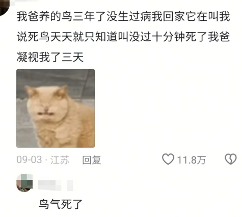 我爸凝视我了三天