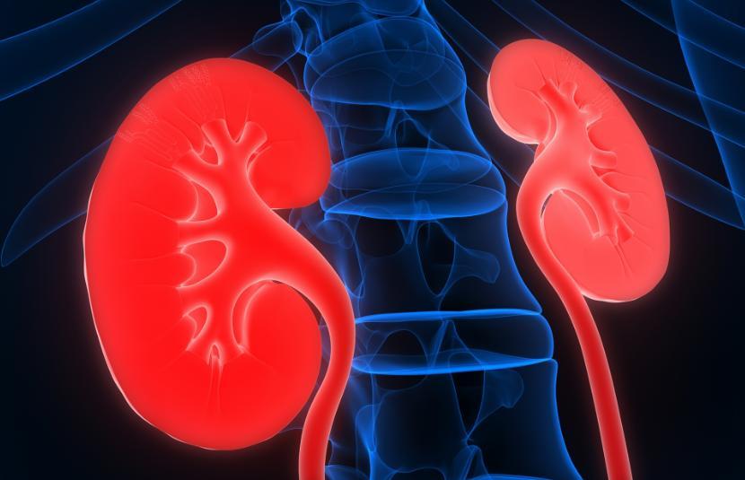 肾病恶化前不是水肿！医生：如频繁出现3个不适，是肾脏在求救！肾脏出问题，绝大