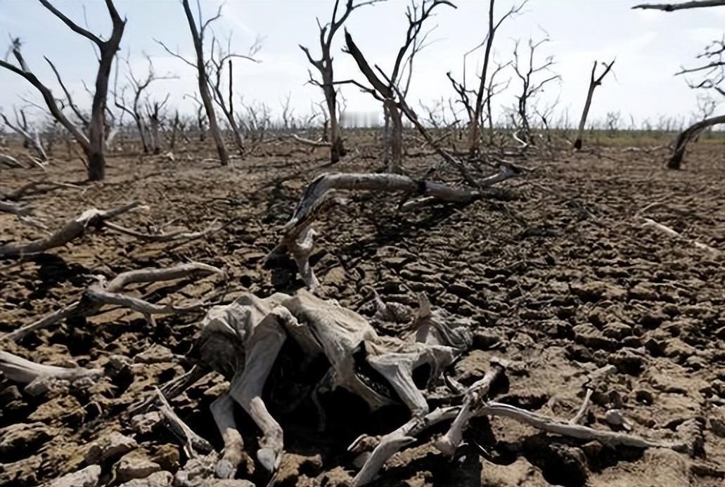 古代饥荒，为什么百姓宁愿吃草根、啃树皮，也不去抓河里的鱼虾？第一个最主要的原