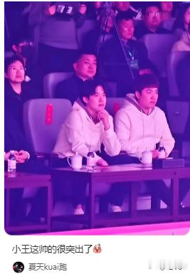 一个呆呆一个帅帅