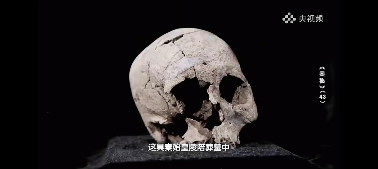 一颗残损不堪的头骨，却复原了2000多年前一位妇女的容貌。这可不是一般人，这是千